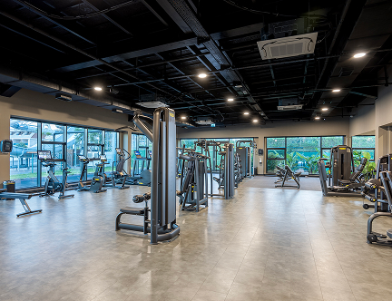 Jacaranda Luxury Galeri Spor M