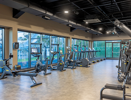 Jacaranda Luxury Galeri Spor M 2