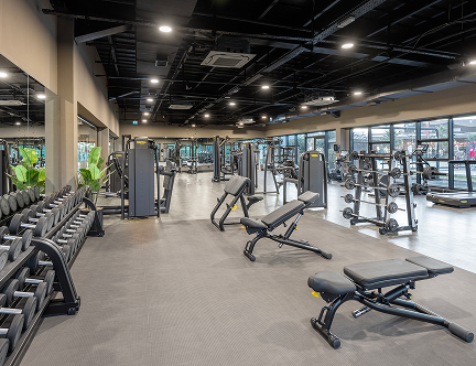 Jacaranda Luxury Galeri Spor M 1